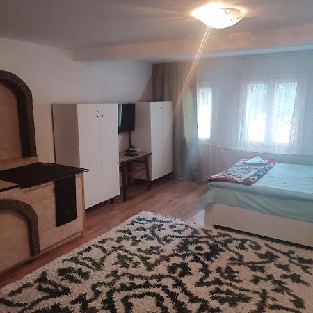 Casa Bucovina Dorna Candrenilor Ascutitele Kültér fotó