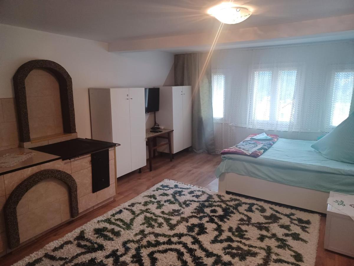 Casa Bucovina Dorna Candrenilor Ascutitele Kültér fotó