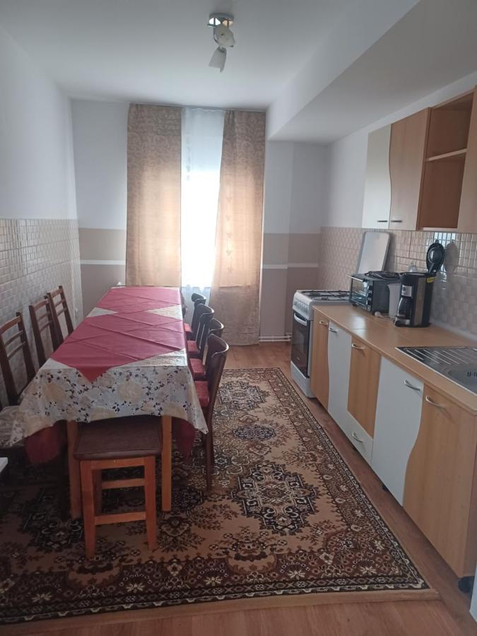 Casa Bucovina Dorna Candrenilor Ascutitele Kültér fotó